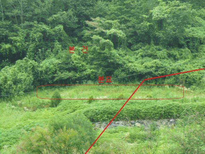 2025타경5364 법원경매 사진2 | 충북 제천시 임야 경매
