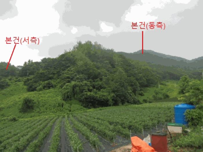 2025타경5364 법원경매 사진4 | 충북 제천시 임야 경매