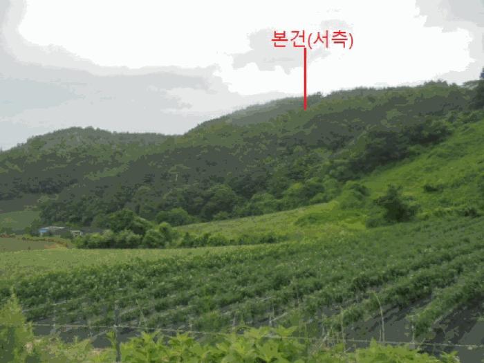 2025타경5364 법원경매 사진5 | 충북 제천시 임야 경매