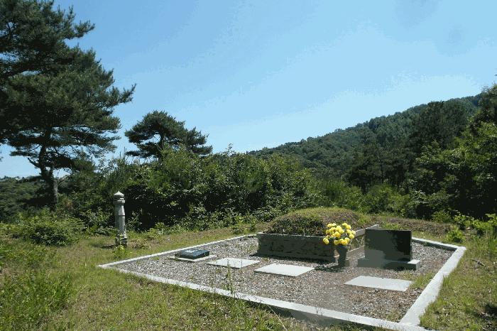 2025타경433 법원경매 사진4 | 충남 부여군 임야 경매