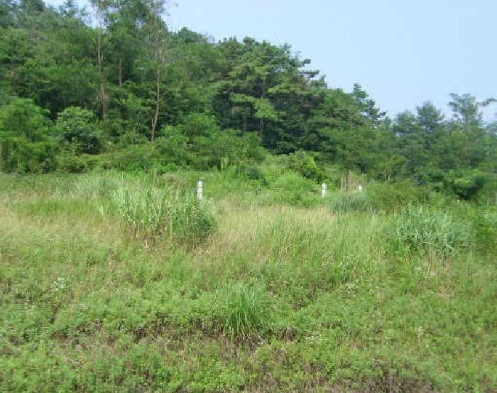 2025타경433 법원경매 사진5 | 충남 부여군 임야 경매
