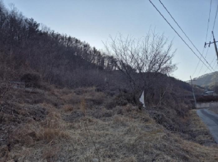 법원경매 2025타경3242 사진8 | 포항시 북구 기계면 남계리 567 전 경매