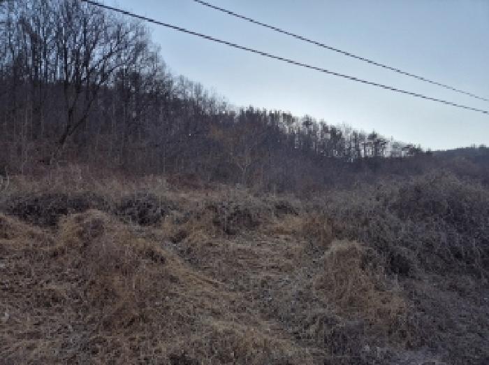 법원경매 2025타경3242 사진9 | 포항시 북구 기계면 남계리 567 전 경매
