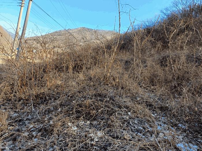 경상북도 포항시 북구 기계면 남계리 567-2 법원경매 물건 대표사진