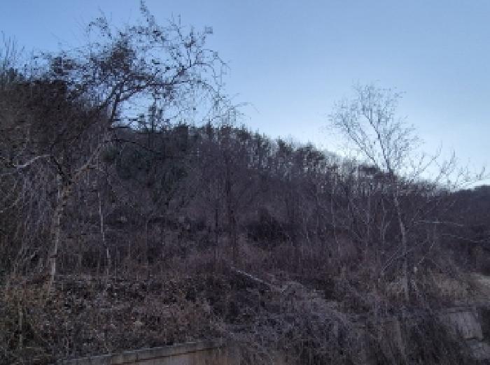 법원경매 2025타경3242 사진7 | 포항시 북구 기계면 전 경매