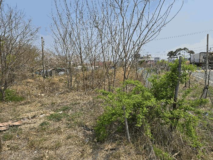 법원경매 2025타경3396 사진4 | 포항시 북구 흥해읍 성곡리 895 전 경매