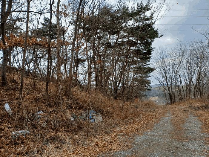 법원경매 2025타경3538 사진6 | 포항시 남구 연일읍 학전리 임야 경매