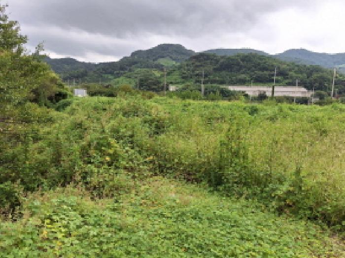 2025타경586 법원경매 사진10 | 전남 광양시 답 경매
