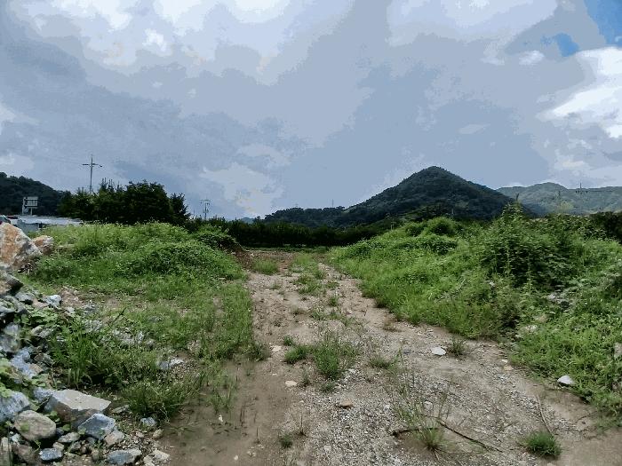 2025타경586 법원경매 사진2 | 전남 광양시 답 경매