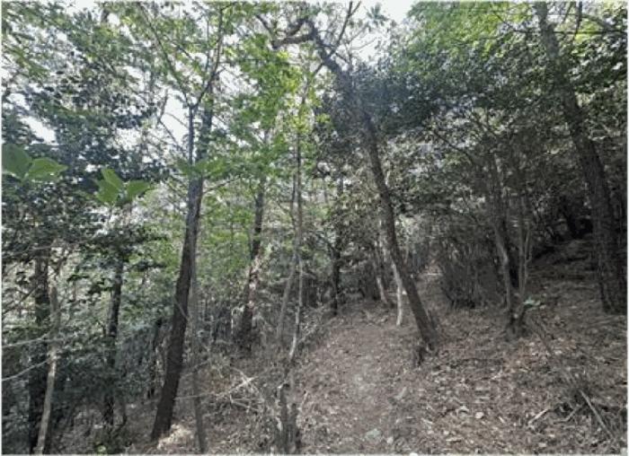 전라남도 광양시 마동 산65-4 법원경매 물건 대표사진