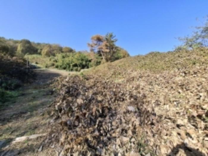 법원경매 2024타경38829 사진16 | 사천시 곤양면 대진리 350-1 전 경매