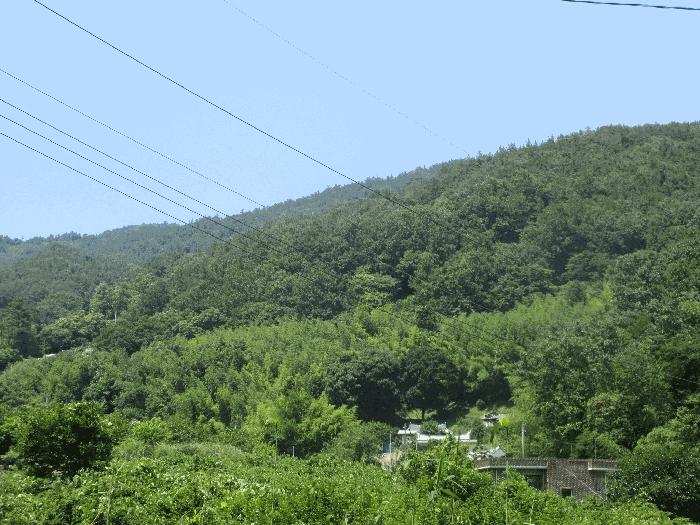 전라남도 순천시 별량면 대룡리 산192 법원경매 물건 대표사진