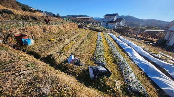경상남도 사천시 사천읍 구암리 1072-10 법원경매 물건 대표사진