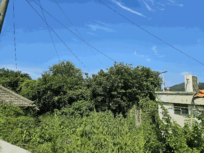 전라남도 여수시 상암동 1760 법원경매 물건 대표사진