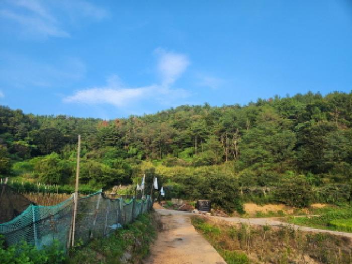 2025타경51937 법원경매 사진3 | 전남 순천시 임야 경매