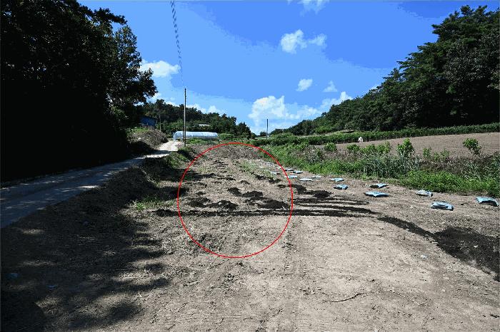 2025타경51955 법원경매 사진3 | 전남 고흥군 답 경매