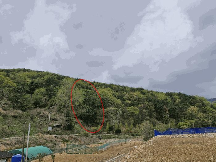 부산광역시 기장군 일광읍 용천리 산55-3 법원경매 물건 대표사진