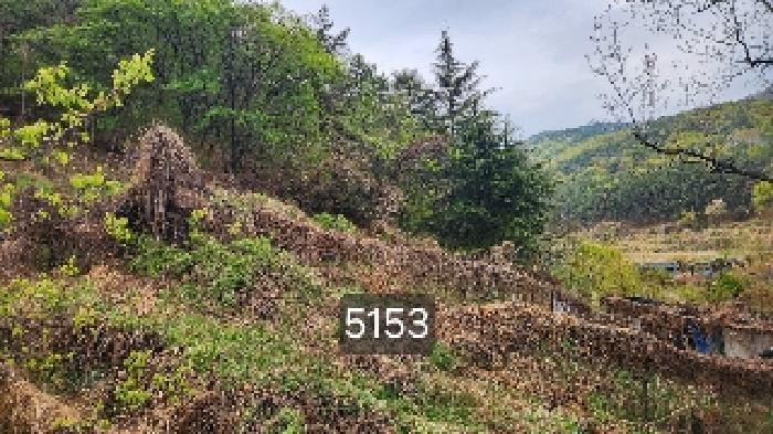 법원경매 2025타경5153 사진3 | 부산 기장군 일광읍 용천리 임야 경매
