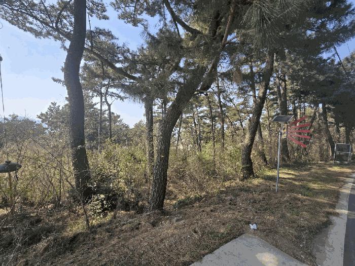 2025타경607 법원경매 사진3 | 경남 남해군 임야 경매