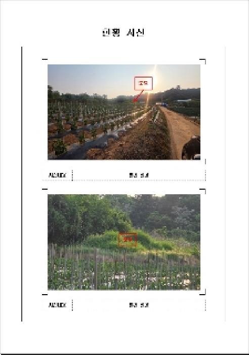 2025타경381 법원경매 사진4 | 전남 무안군 전 경매