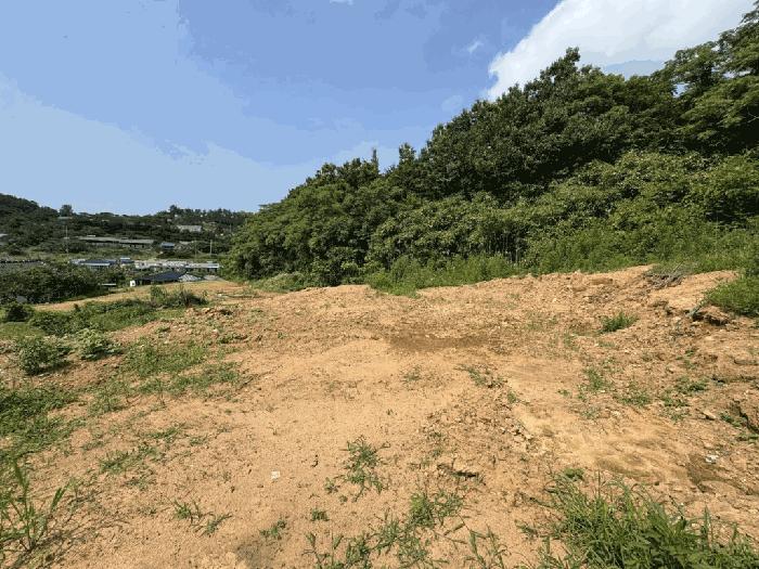 2025타경417 법원경매 사진3 | 전남 무안군 전답 경매