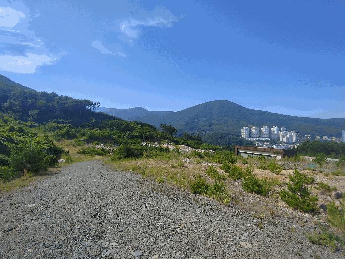 2025타경511 법원경매 사진4 | 경남 거제시 임야 경매