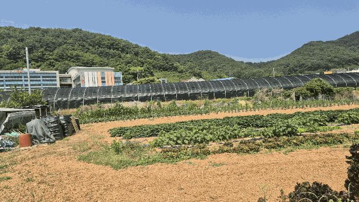 2025타경21453 법원경매 사진4 | 경남 거제시 답 경매