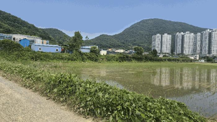 2025타경21453 법원경매 사진2 | 경남 거제시 답 경매