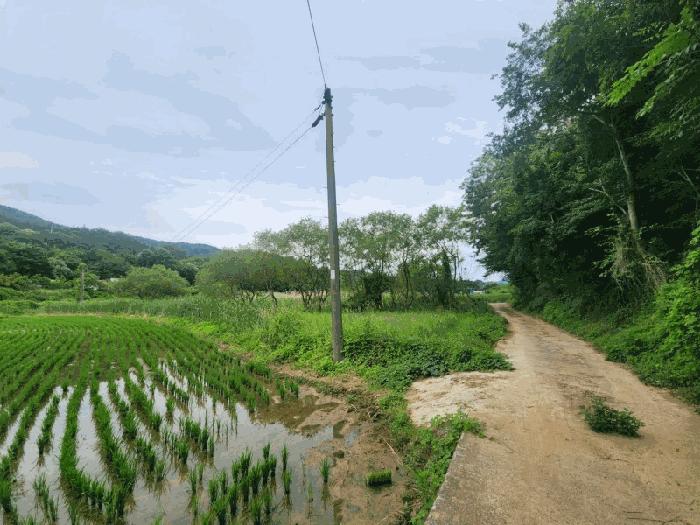 경상남도 거제시 둔덕면 학산리 88-1 법원경매 물건 대표사진