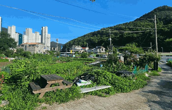 2025타경21655 법원경매 사진3 | 경남 거제시 전 경매