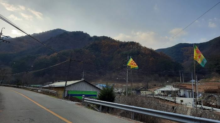 법원경매 2024타경1949 사진3 | 정선군 임계면 직원리 임야 경매