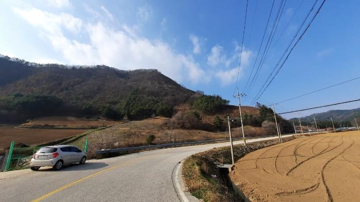 법원경매 2024타경1949 사진8 | 정선군 임계면 직원리 임야 경매