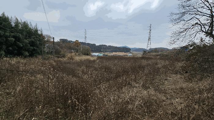 2024타경59969 법원경매 사진3 | 충남 태안군 주택건물 경매