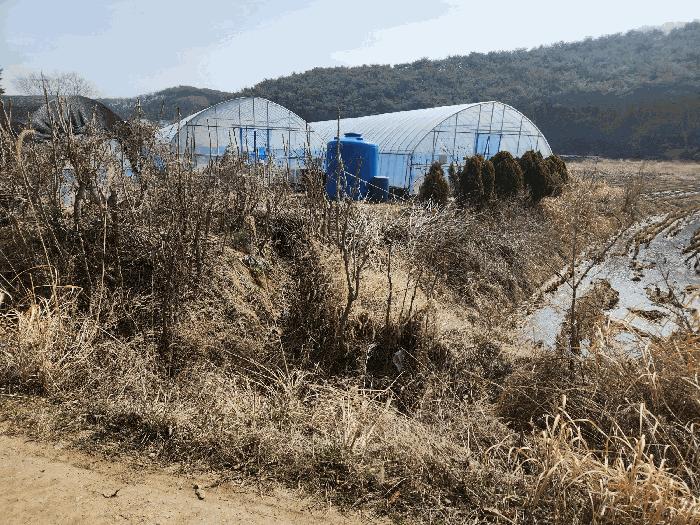 법원경매 2025타경532 사진6 | 태안군 안면읍 창기리 1319-3 답 경매