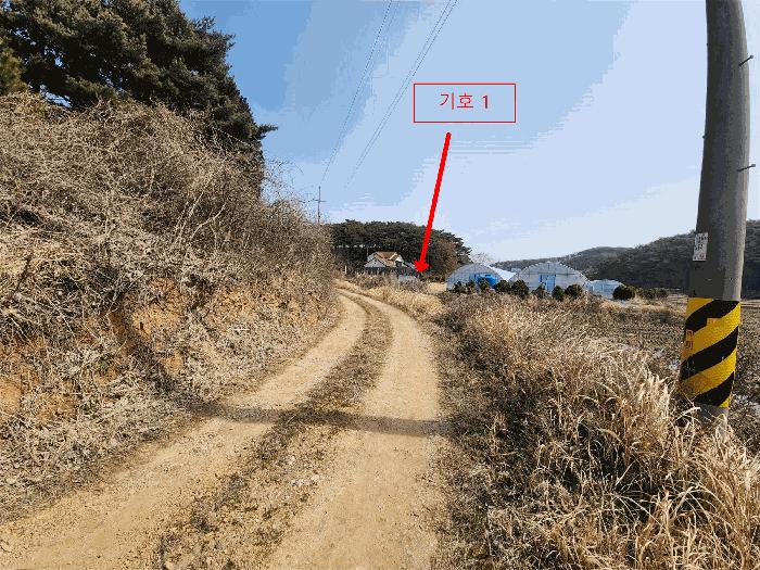 법원경매 2025타경532 사진8 | 태안군 안면읍 창기리 1319-3 답 경매