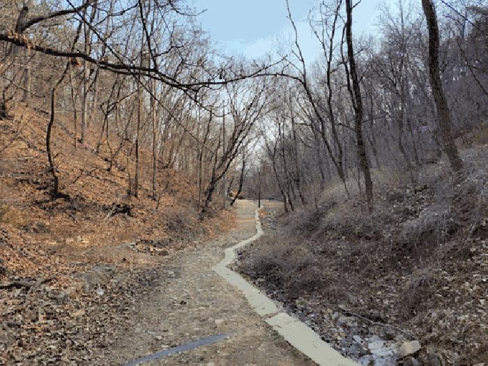 2025타경547 법원경매 사진2 | 경기 시흥시 임야 경매