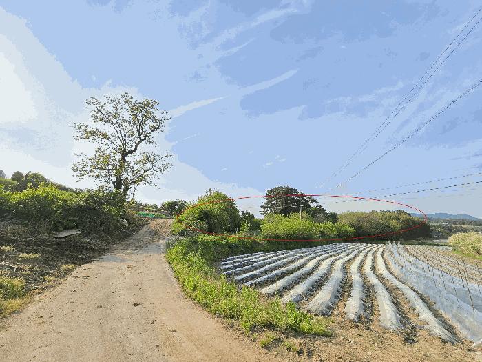 충청남도 서산시 지곡면 대요리 402-8 법원경매 물건 대표사진