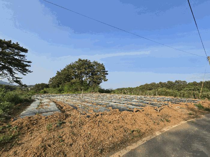 2025타경637 법원경매 사진3 | 충남 서산시 전 경매
