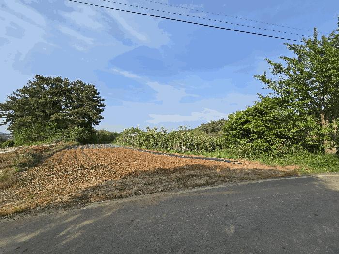 2025타경637 법원경매 사진5 | 충남 서산시 전 경매