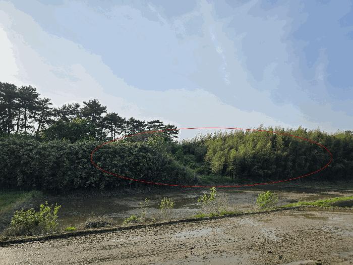 2025타경637 법원경매 사진6 | 충남 서산시 전 경매