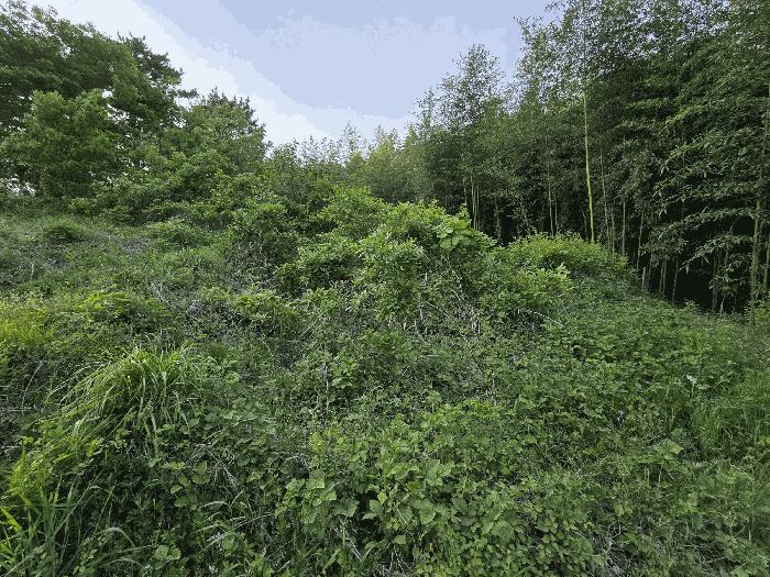 2025타경637 법원경매 사진7 | 충남 서산시 전 경매
