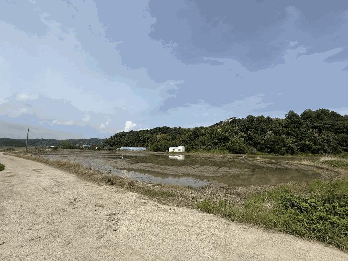 2025타경51310 법원경매 사진3 | 충남 당진시 답 경매