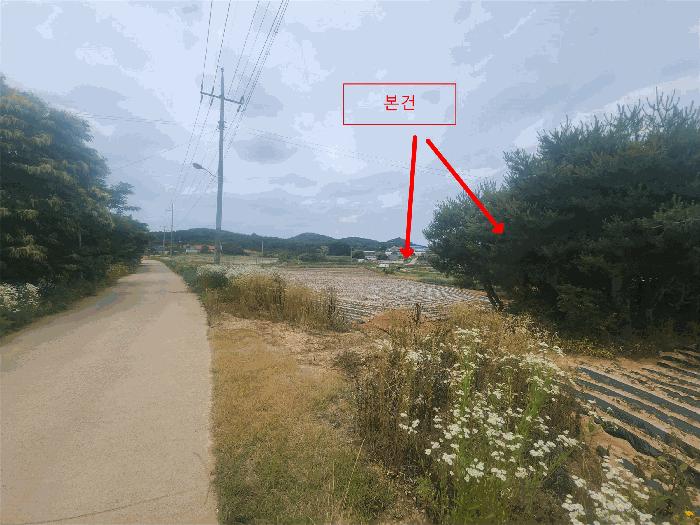 2025타경51418 법원경매 사진2 | 충남 당진시 임야 경매