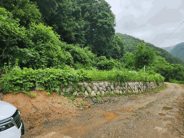 충청북도 진천군 백곡면 성대리 174 법원경매 물건 대표사진