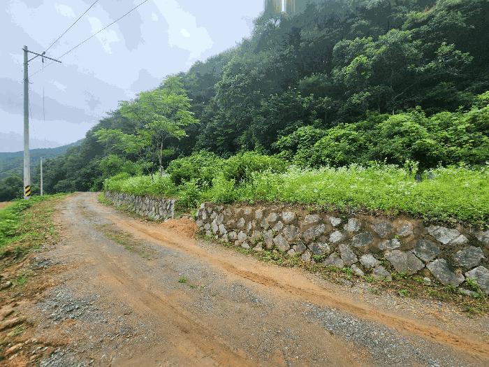 2025타경51413 법원경매 사진5 | 충북 진천군 대지 경매