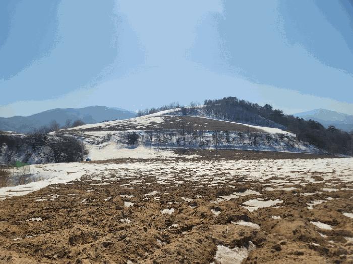 법원경매 2025타경30180 사진2 | 평창군 대관령면 횡계리 185-47 임야 경매