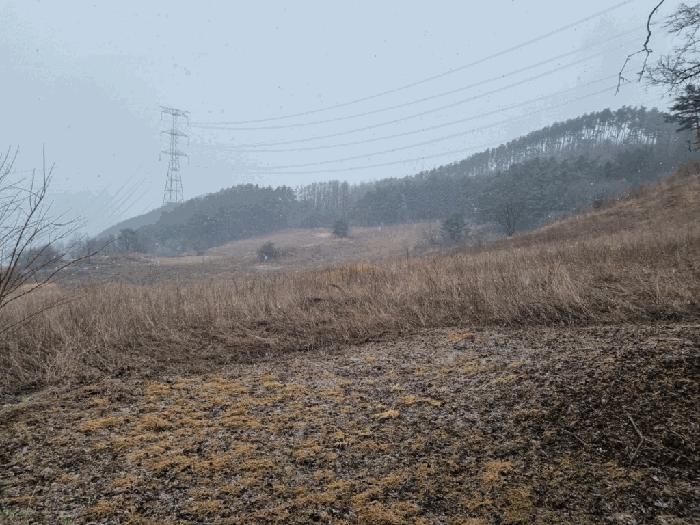 법원경매 2025타경30296 사진2 | 정선군 화암면 석곡리 99-2 전 경매
