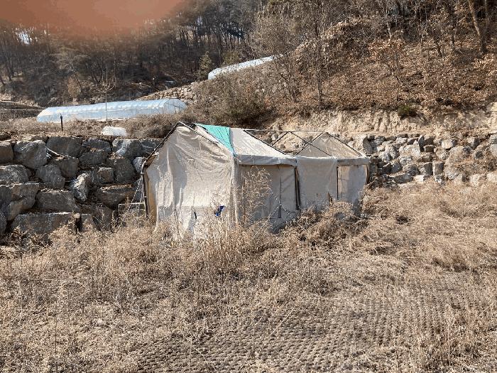 법원경매 2025타경30365 사진3 | 영월군 주천면 도천리 692-37 임야 경매