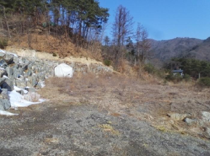 법원경매 2025타경30365 사진5 | 영월군 주천면 도천리 692-37 임야 경매