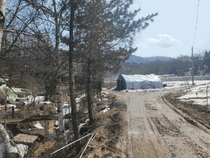 법원경매 2025타경30368 사진2 | 평창군 대관령면 횡계리 70-1 전 경매